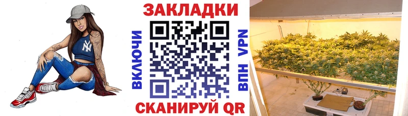 Где можно купить наркотики Изобильный Марихуана  СК  Cocaine  Гашиш  Меф мяу мяу 