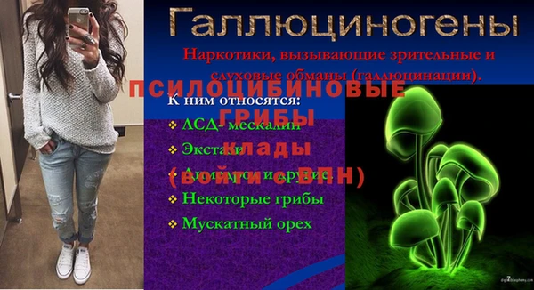 трава Горно-Алтайск