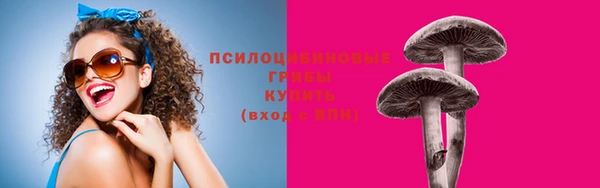 трава Горно-Алтайск
