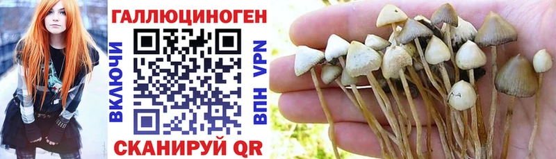 где продают наркотики Изобильный Псилоцибиновые грибы MAGIC MUSHROOMS